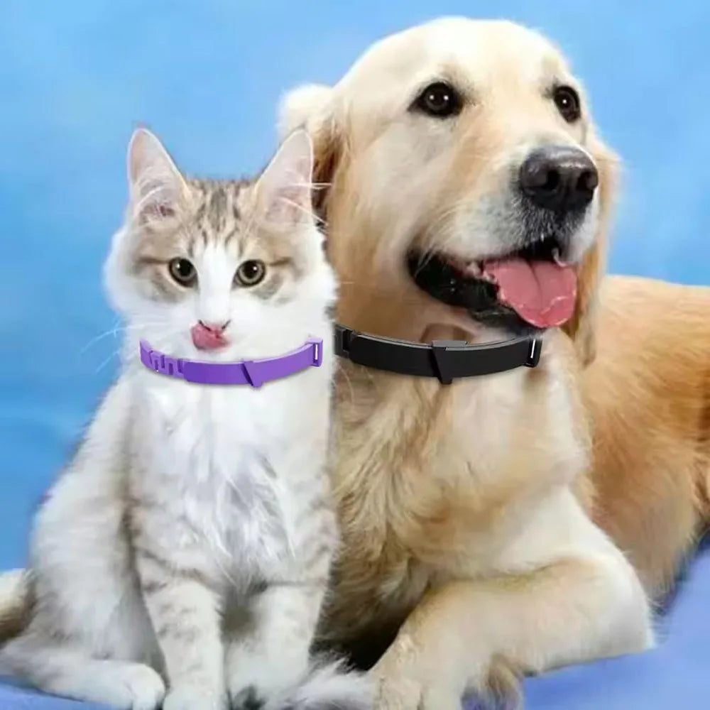 Collier de chien en plastique réglable, imperméable, pour chat, chiot, chaton, 70cm, 38cm, pour petits, moyens et grands chiens, fournitures pour animaux de compagnie
