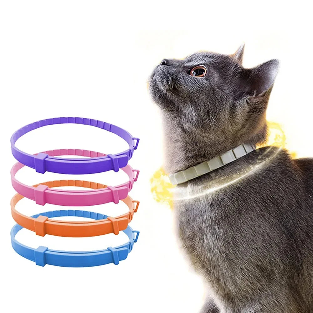 Collier de chien en plastique réglable, imperméable, pour chat, chiot, chaton, 70cm, 38cm, pour petits, moyens et grands chiens, fournitures pour animaux de compagnie