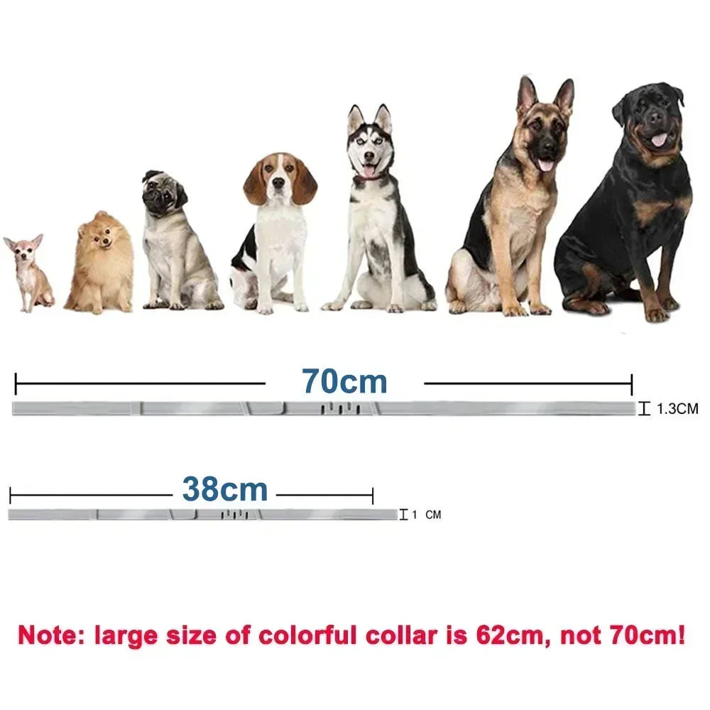 Collier de chien en plastique réglable, imperméable, pour chat, chiot, chaton, 70cm, 38cm, pour petits, moyens et grands chiens, fournitures pour animaux de compagnie